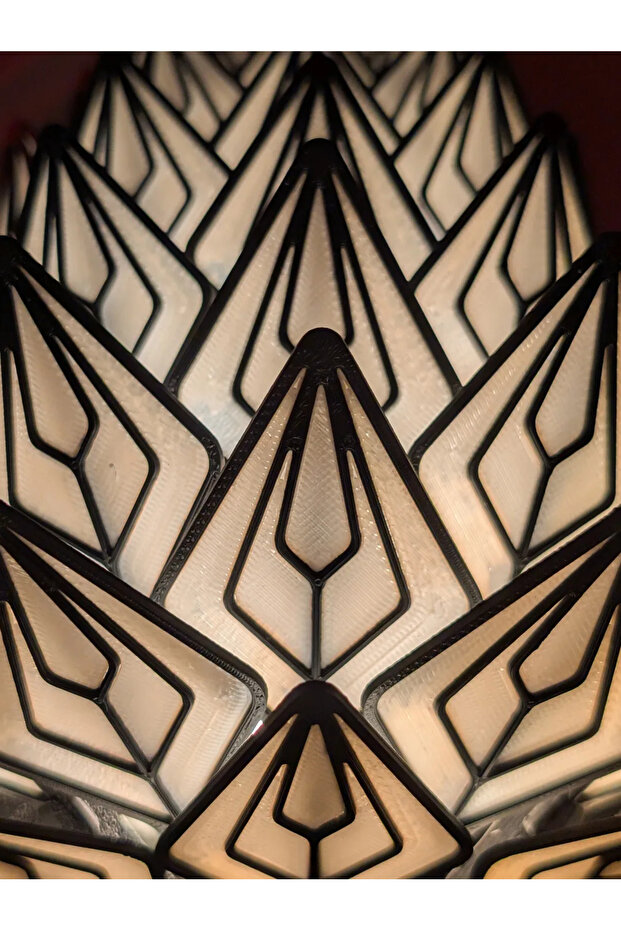 عاكس الضوء الصنوبرية - 2