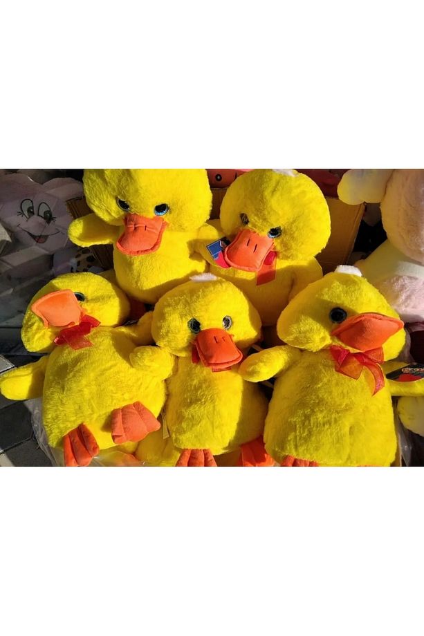 Polly Toys Ördek Sevimli Maviş Ördek 🦆 Yumaşak Dokuya Sahiptir 60 Cm - 3