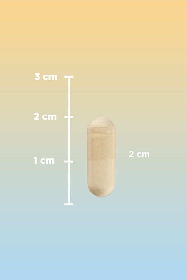 Bromelain 60 Kapsül - Aromasız - 4