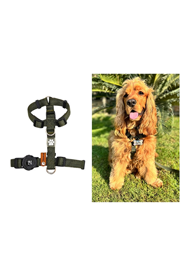 طوق الصدر الأساسي من النوع H - 1