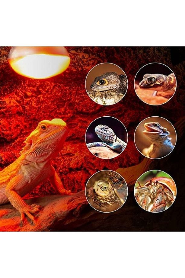 Tanay Kızılötesi Isıtıcı Ampul Lamba / 5 Adet - 6