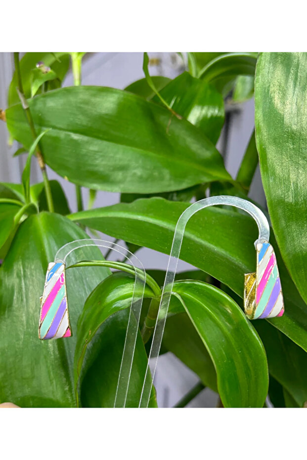 Coloured Enamel Earrings - 1