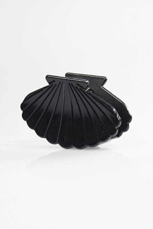 صدف مزلاج المشبك - 1