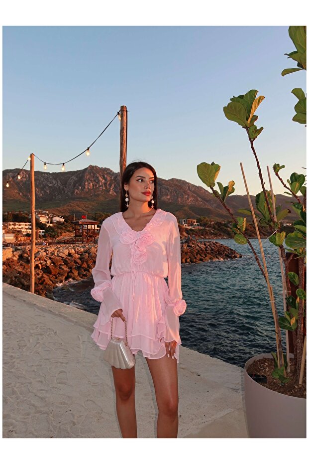 Rose Design Mini Eh Collection Dress
