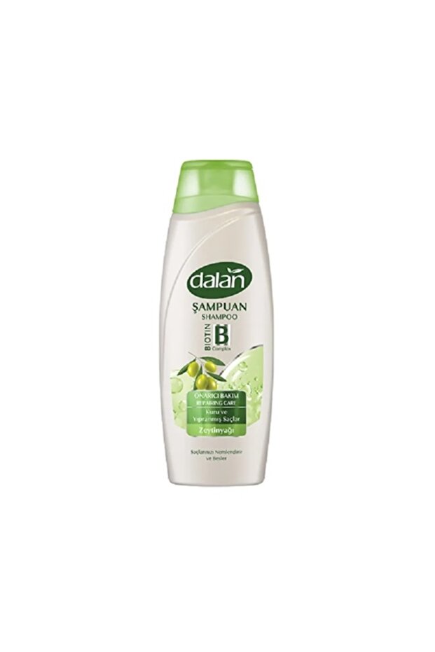 Şampuan Kuru ve Yıpranmış Saçlar 450 ML - 1
