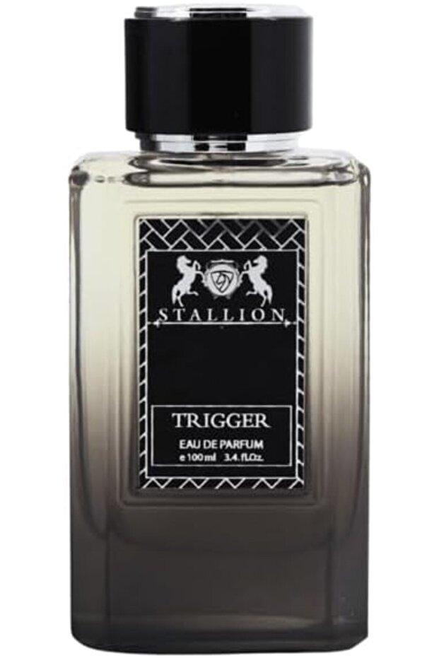 عطر ستاليون تريجر الرائع للرجال 100 مل - 1