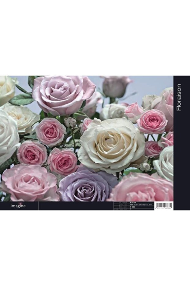 German Wall View Kumar 8/736 - 1