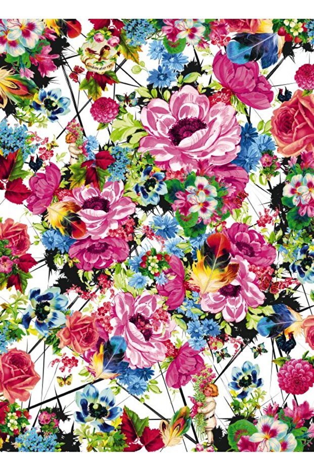 Kumar Wall Views 4/749 - 2