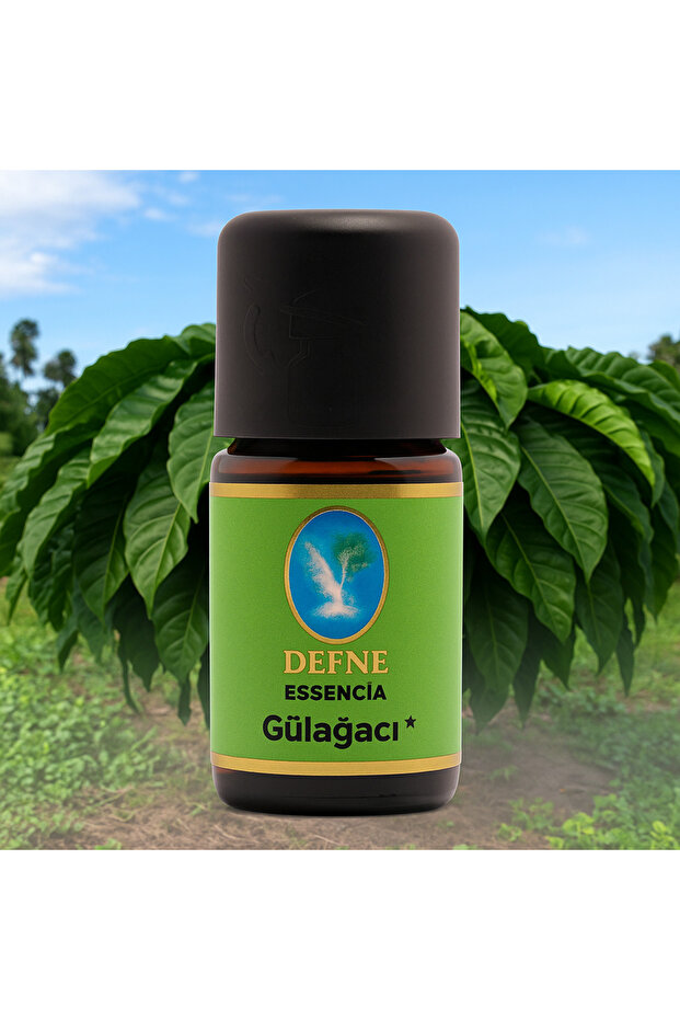 Rosewood* Organic 100% Pure Essential Oil 5ml
