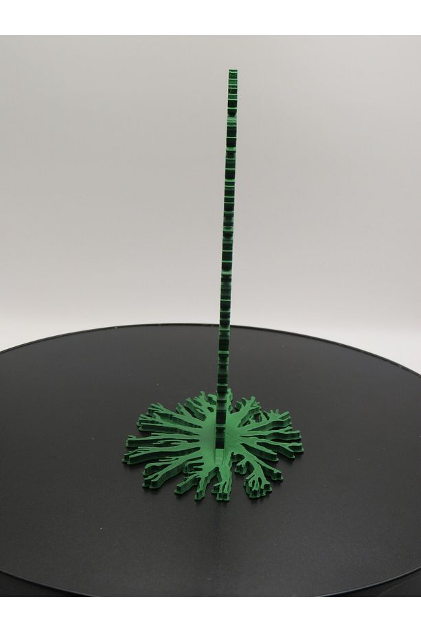 Money Tree – Dekoratif Para Ağacı | Şans ve Bereket Getiren 3D Tasarım - 3