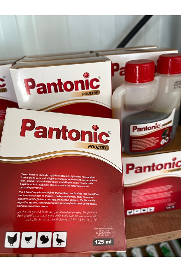 Pantonic - 2