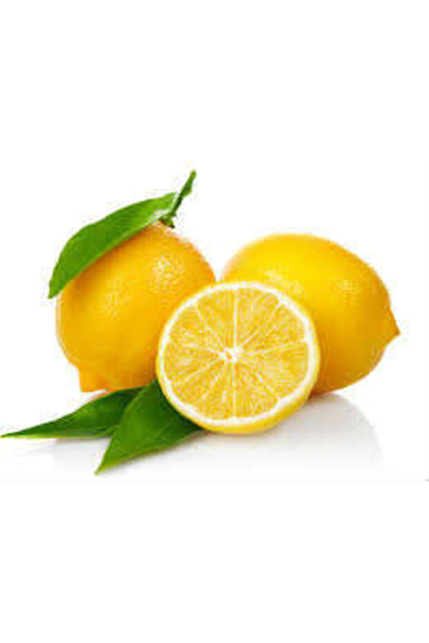 Limon Bonesi / 10 Adet / Bitki Çayı Bonesi - 2