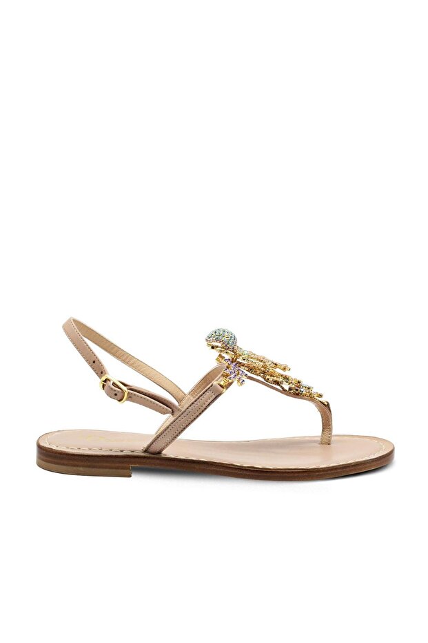 6435 متعدد الألوان - 1