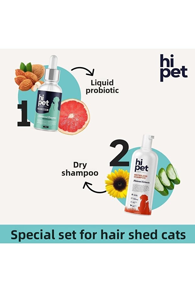 Special Set for Feather-Casting Cats - 2