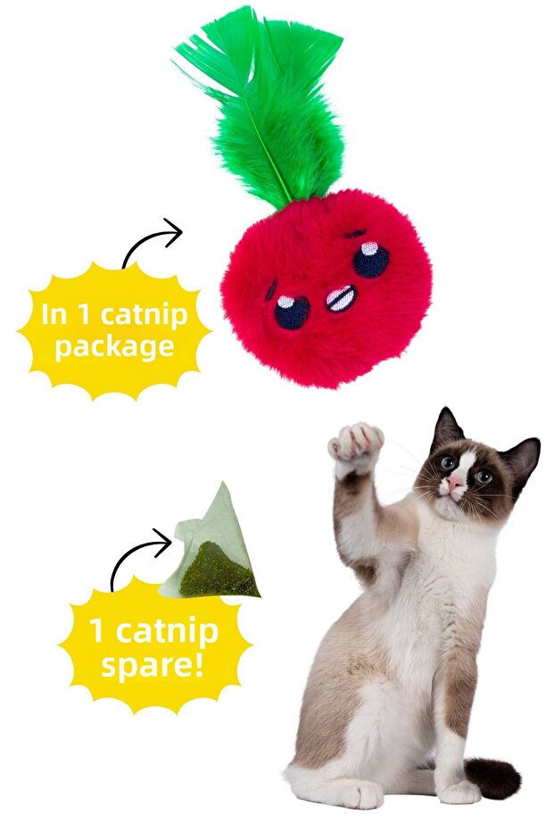 لعبة قطط قطيفة على شكل تفاحة مع جيب، تتضمن عبوتين من النعناع البري - لعبة قطط مع النعناع البري - 6
