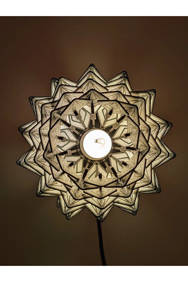 عاكس الضوء الصنوبرية - 4