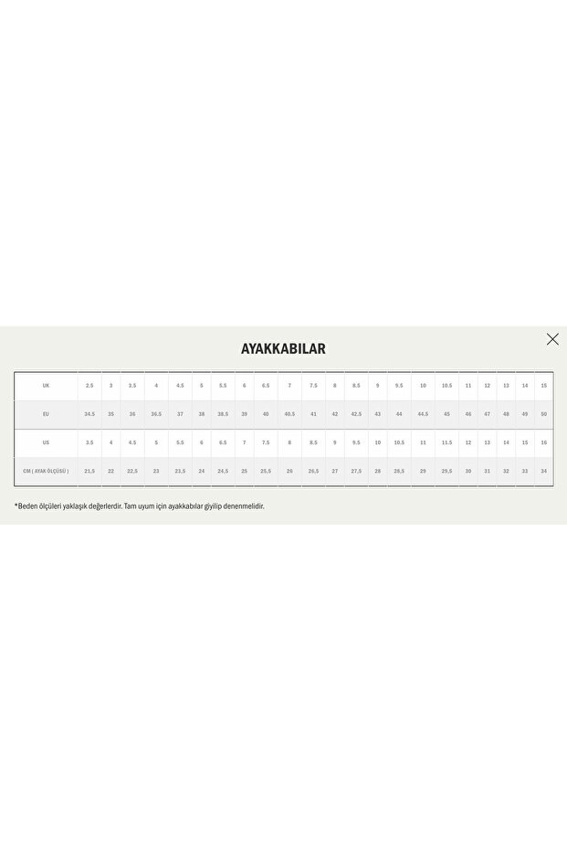 Old Skool - Tropical Scarab - 5