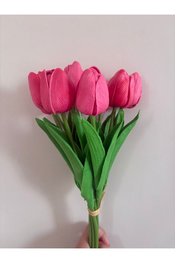 6 Adet Pembe Islak Lale 1. Kalite - 2