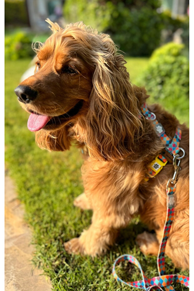 طوق صدر من النوع H مع نمط معاد تدويره - 2