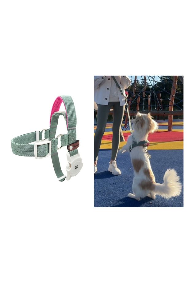 Easy Use - Kolay Giydirilebilir Göğüs Tasması - 1