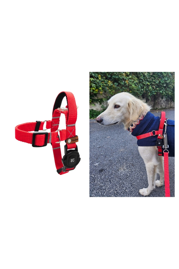 Easy Use - Kolay Giydirilebilir Göğüs Tasması - 1