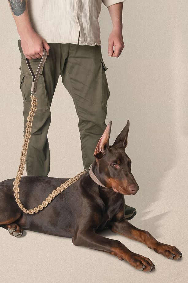 Köpek Tasması, Köpek Deri Gezdirme Kayışı, Sağlam Köpek Gezdirme Kayışı - Hia - 6