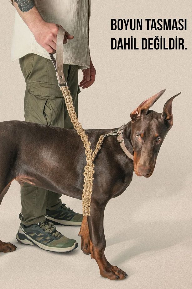 Köpek Tasması, Köpek Deri Gezdirme Kayışı, Sağlam Köpek Gezdirme Kayışı - Hia - 1