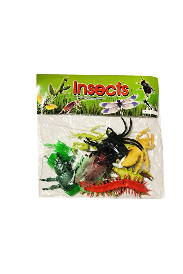 Set 7 insecte, multicolore - 4