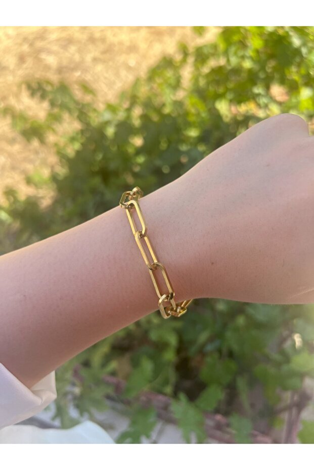 سوار سلسلة - 2