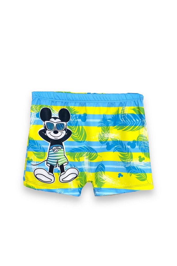 Erkek Çocuk Kral Şakir Desenli 5/8 Yaş Tek Ebat Panço Bornoz , Mickey Deniz Şortu Bone Takımı - 6