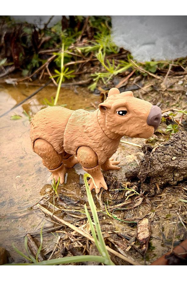 Kapibara Oyuncak- Doğanın Zarif Devleri! 🦦 🐾✨ 3d Hareketli Organik Vip Model - Büyük Boy - 4