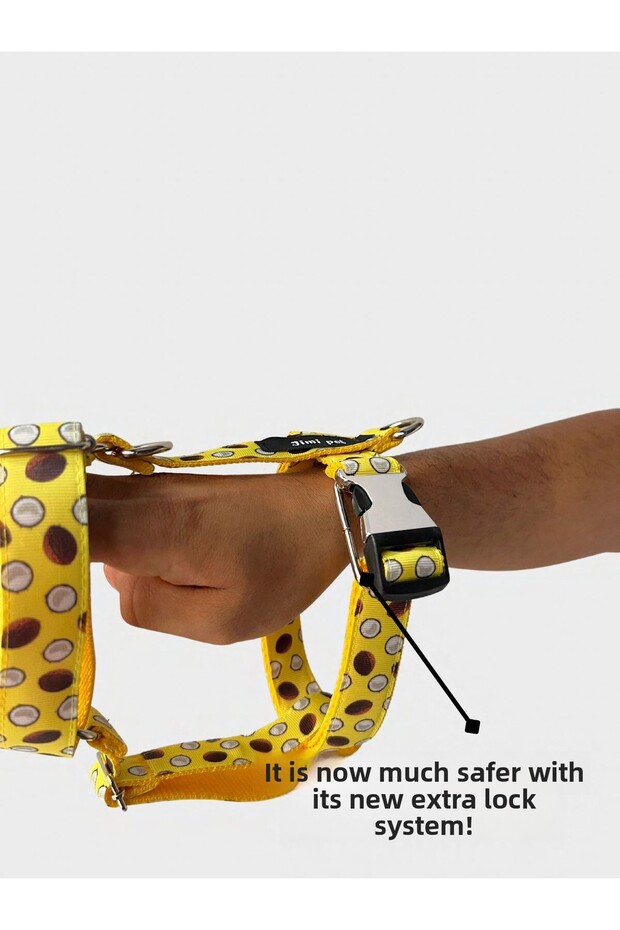 مجموعة مقود موديل جوز الهند - 2