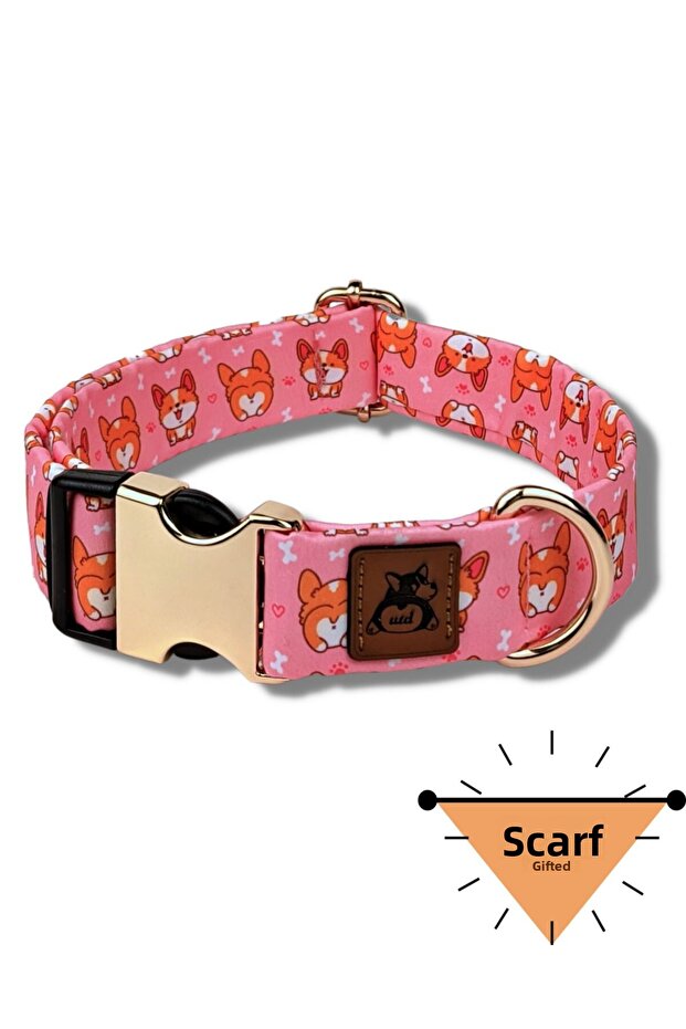 طوق كلب كورجي - 1