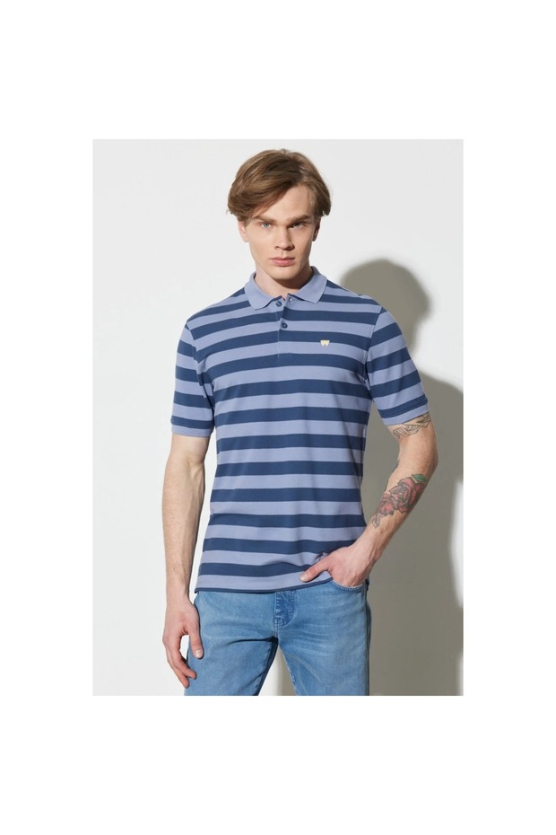 Regular Fit Normal Cut 100% Cotton Polo Neck Striped T-Shirt