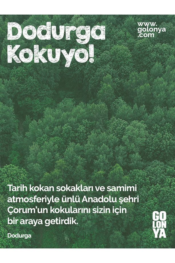 Dodurga - 250 ml Cam Şişe - 5