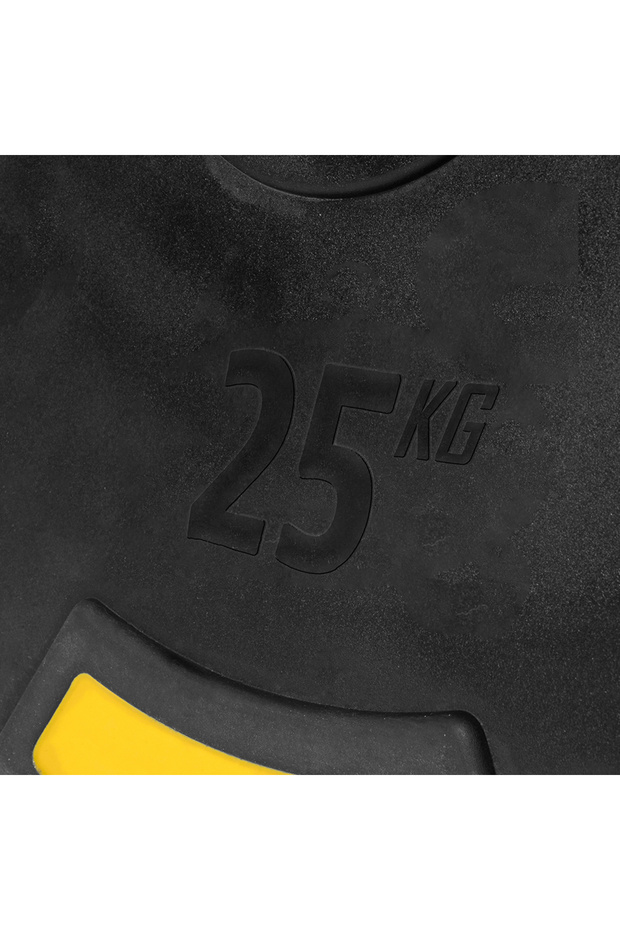 P250 25 Kg Olimpik Plaka - 2