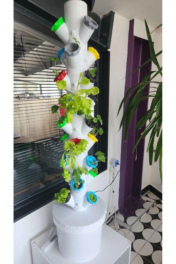 Pratik Dikey Hidroponik Sistem – Balkon, Teras ve İç Mekan için Taze Üretim Seti - 5