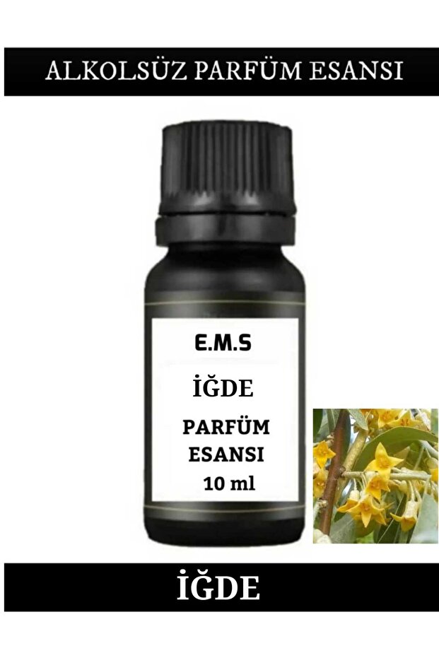 İĞDE KOKUSU PARFÜM ESANSI İĞDE ESANSI 10 ML. - 1