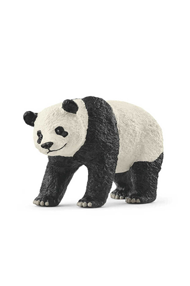 Dev Panda 17098 - 1