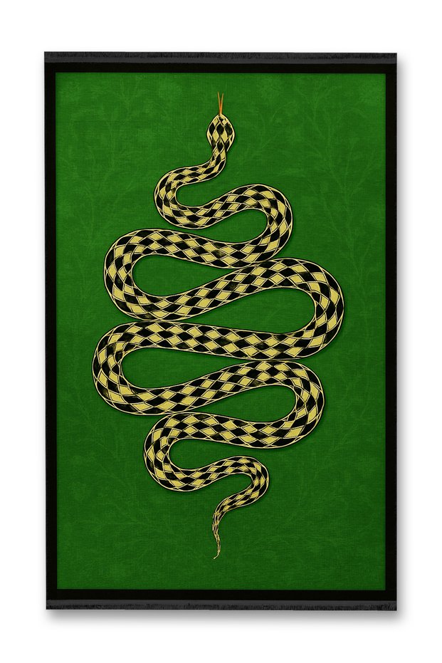 Mosso Black Border Detailed Green Themed Snake Patterned Fringed Woven Base Decorative Carpet Mosso59