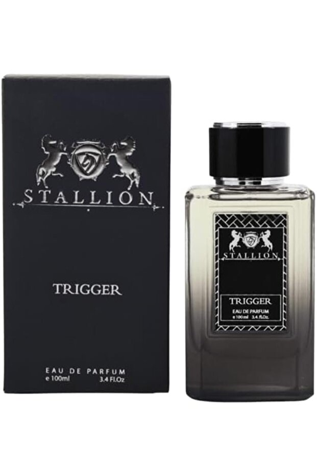 عطر ستاليون تريجر الرائع للرجال 100 مل - 2