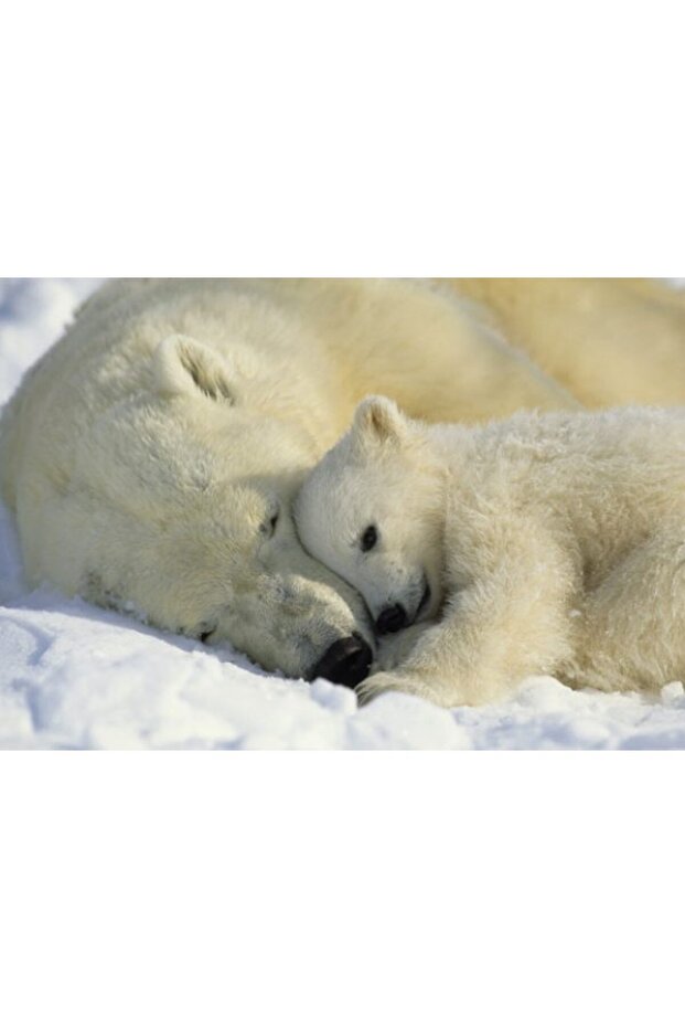 Kumar Gallery Wall View 1/605 - 1