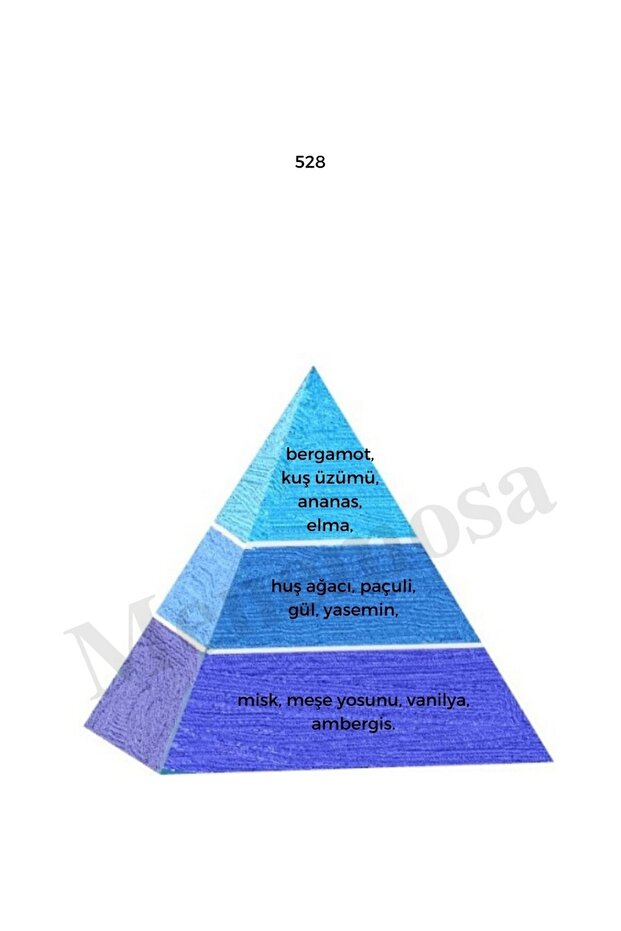 No: 528 + 611 Erkek Parfüm EDP 50 ml Fresh / Woody - 3