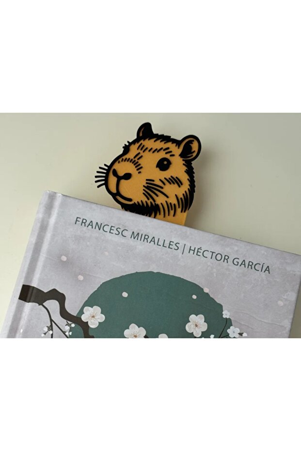 علامة مرجعية كابيبارا - 1