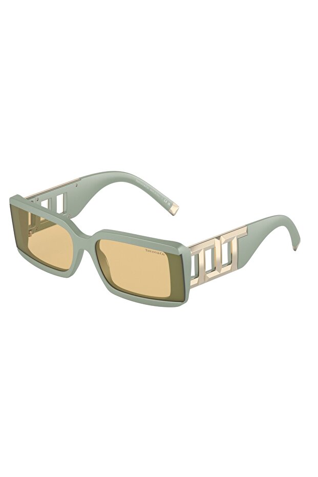 & Co.Tf4197 83658 62 Women Sunglasses