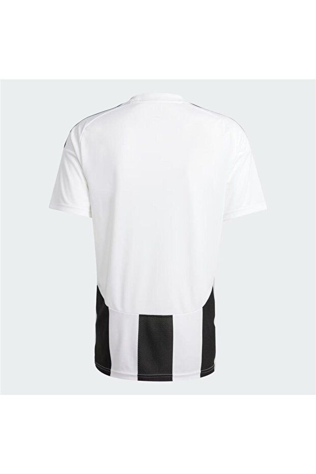 STRIPED 24 JSY Forma - 2