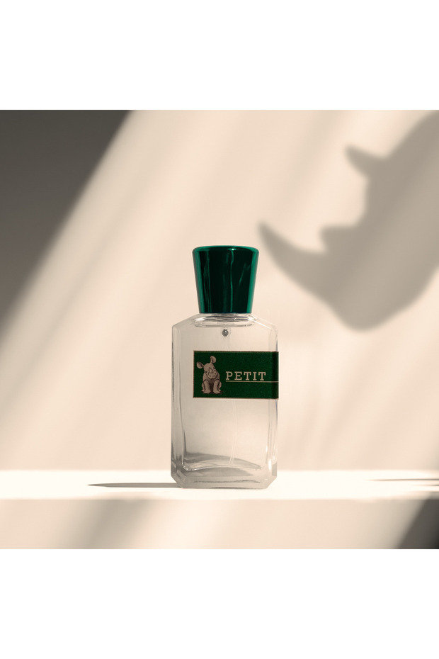 PETIT - 1