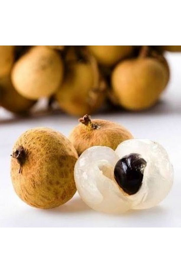 2 Yaş Tropikal Longan Ejder Gözü Fidanı Saksıda - 1