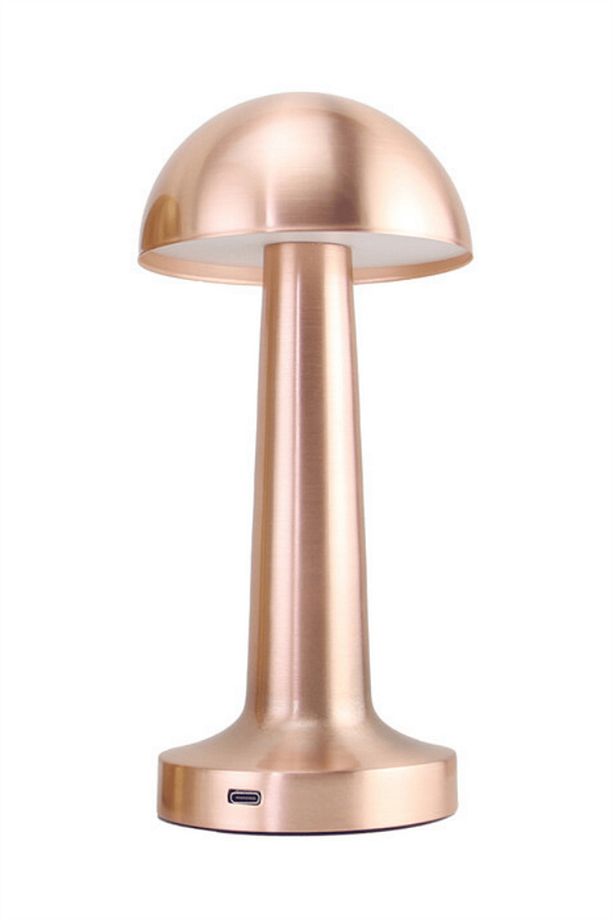 Mantar Model Retro Masa Lambası Rosegold Bakır Dimmerli Şarjlı Dekoratif Dokunmatik Masa Lambası - 5