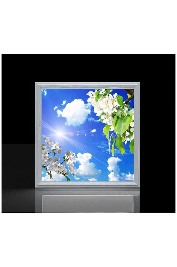 60x60 Ledli-trendyol Avize-bulutlu Çiçekler Tavan Avize-54watt-tavana Yapışık Lamba-salon Avize - 2